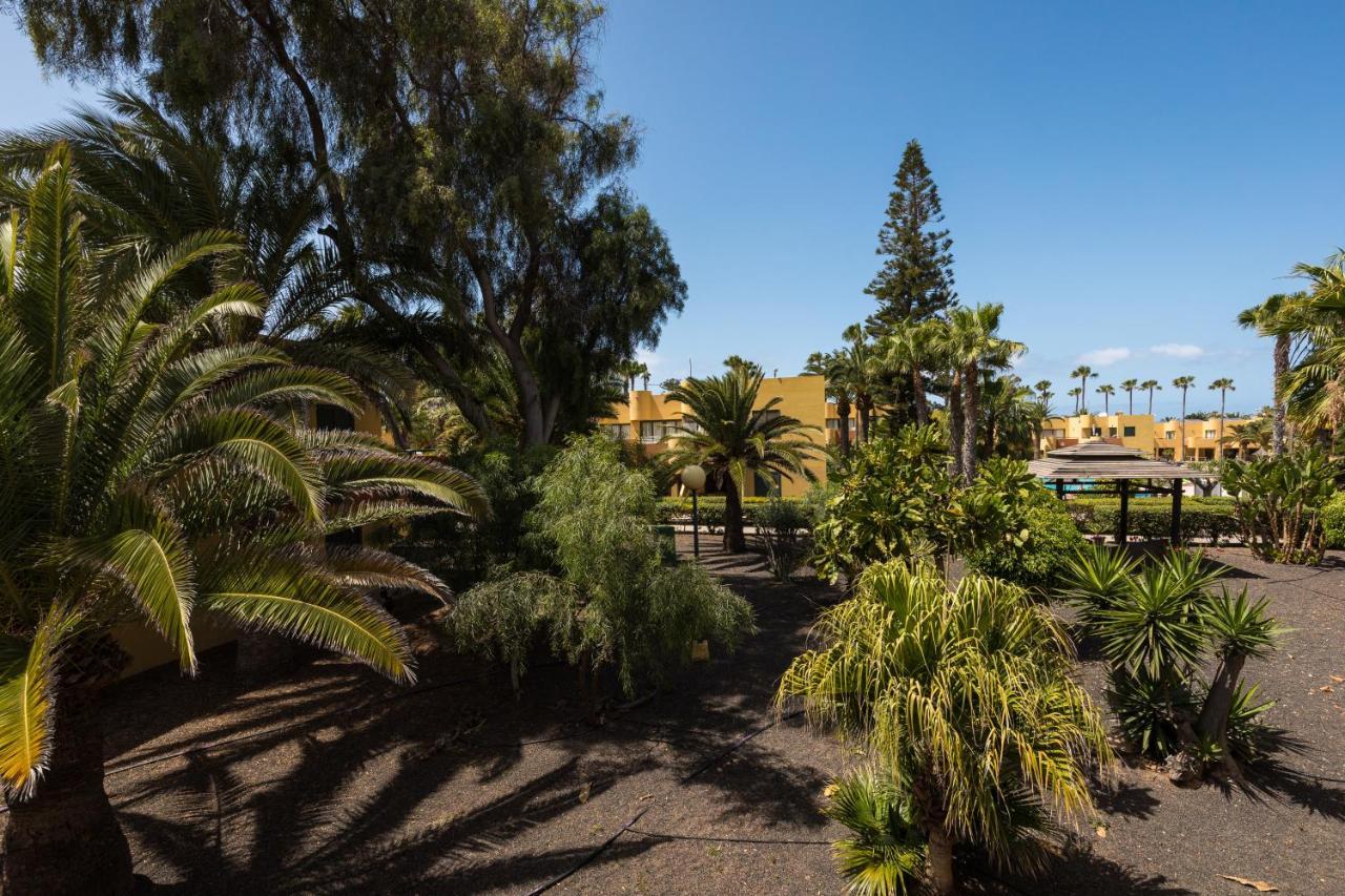 Blue Pearl Apartment Corralejo